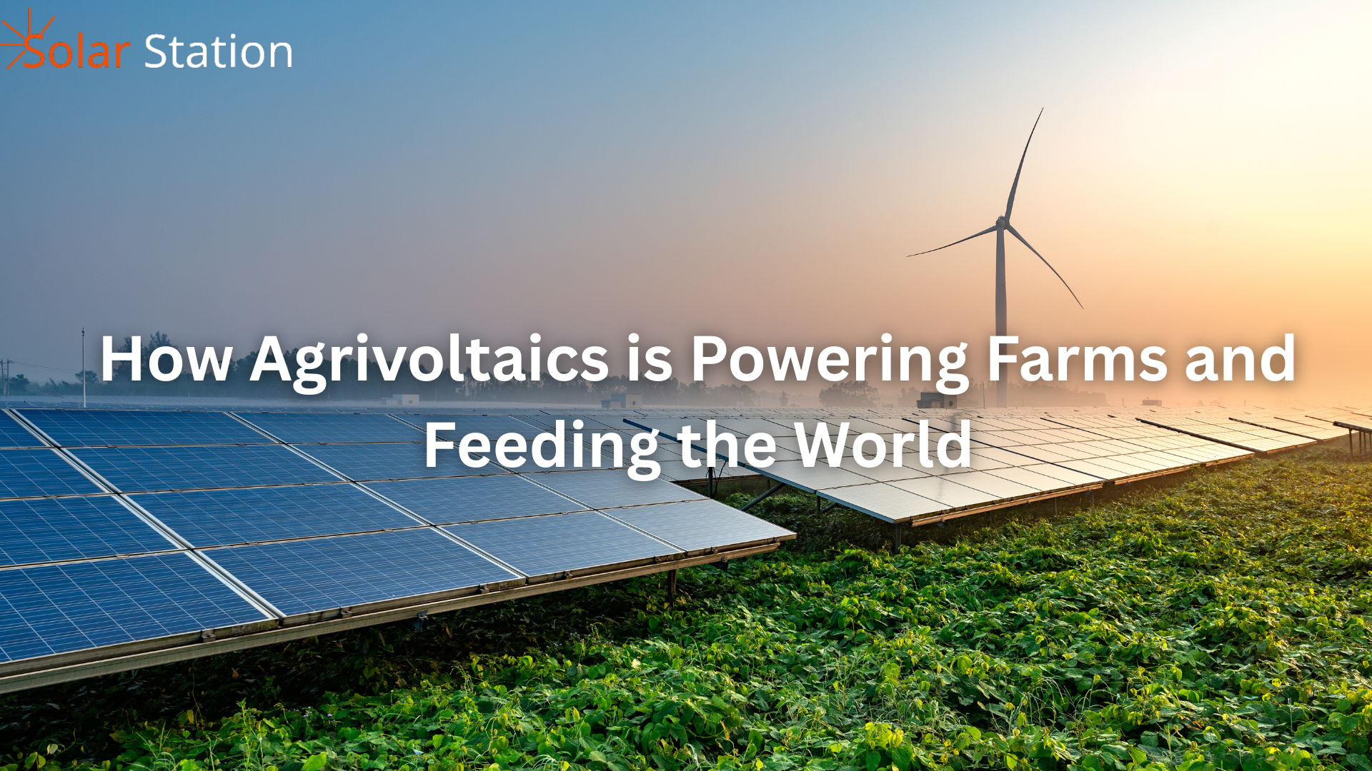 How Agrivoltaics is Powering Farms and Feeding the World  